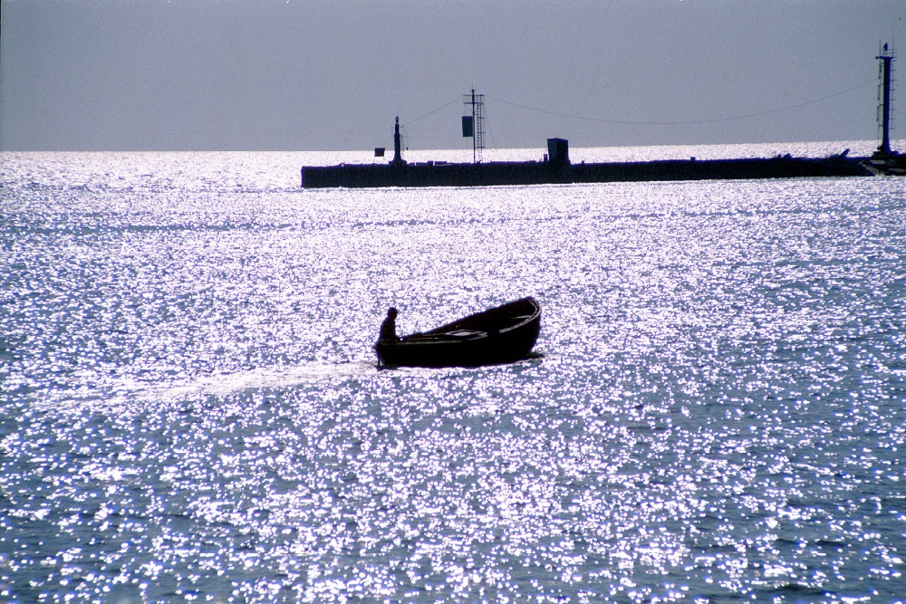 Минприроды Кубани оценило ущерб после ЧП с танкерами в 34 млрд руб 